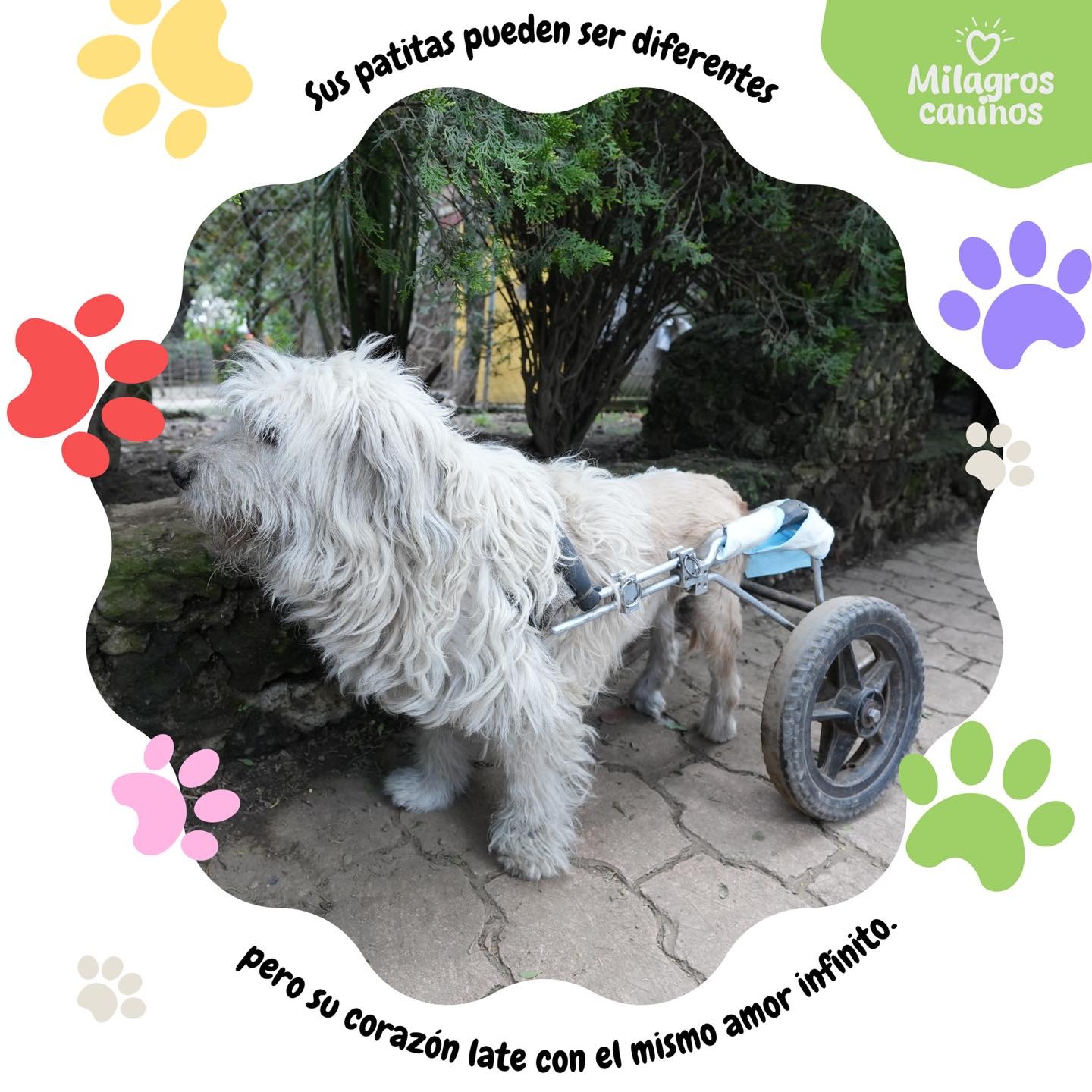 Transforman vidas por medio del amor y la solidaridad