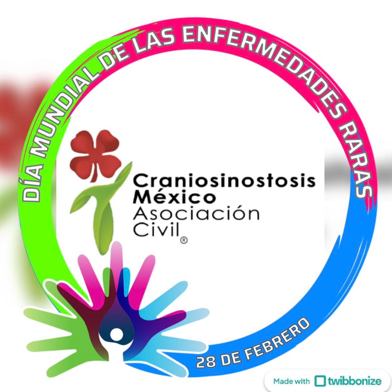 Craniosinostosis México AC celebra su 11° carrera por los Craniocampeones