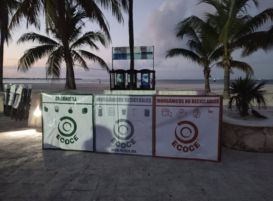 Concientización y reciclaje: ejes de una asociación mexicana líder en ecología