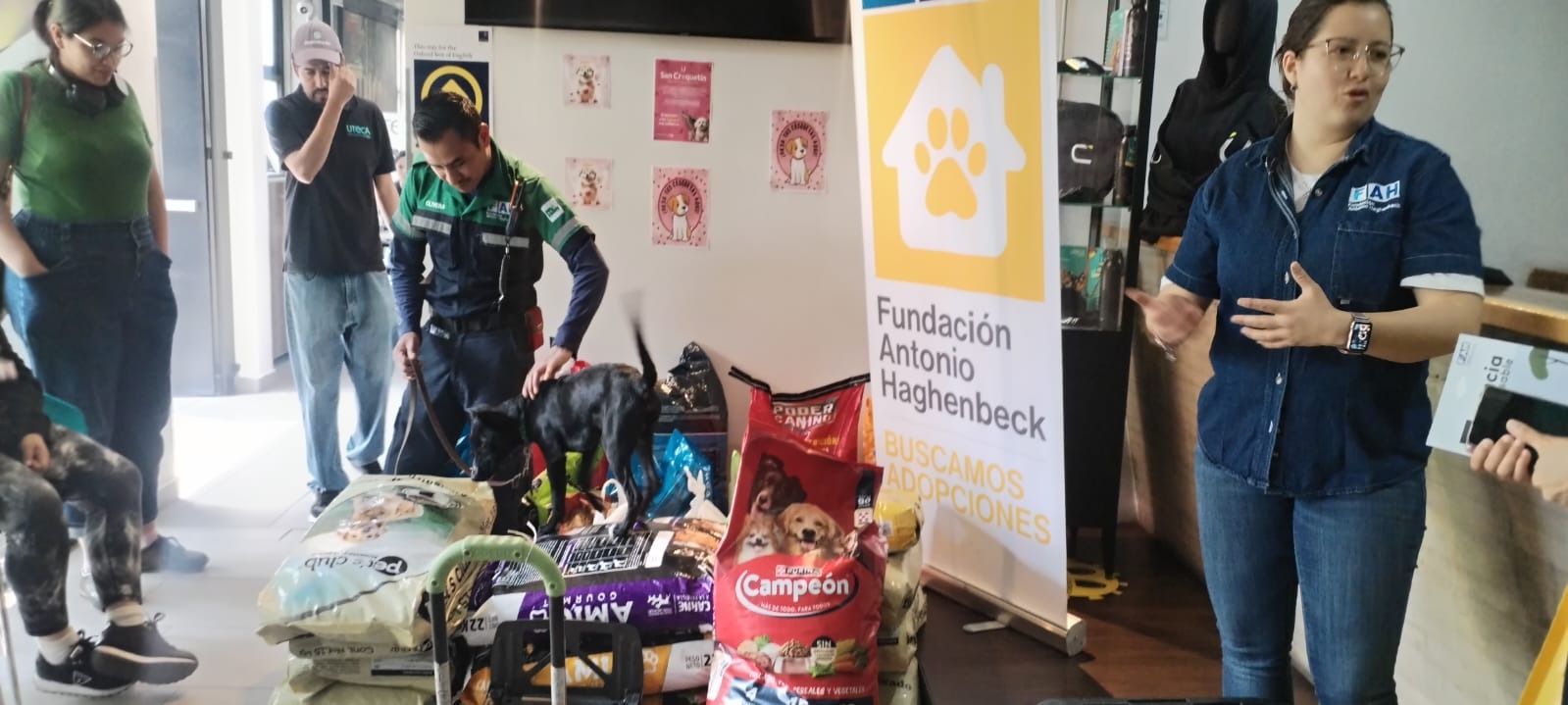 Fundación Antonio Haghenbeck: Una segunda oportunidad al amor de cuatro patas