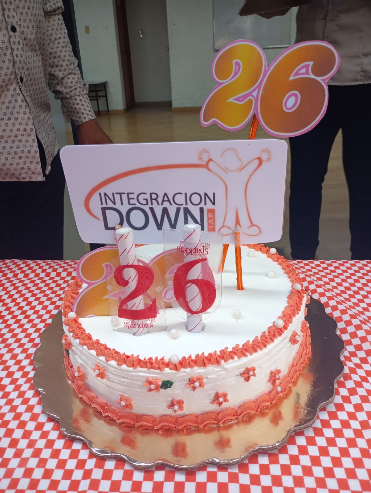 Educación y Oportunidades para personas con Síndrome de Down: Integración Down
