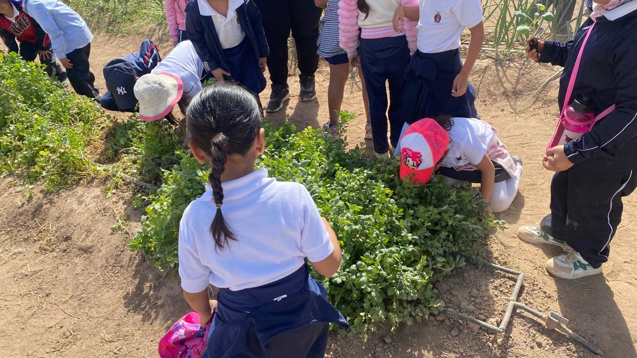 Desde Sinaloa; impulsan la Innovación Agrícola