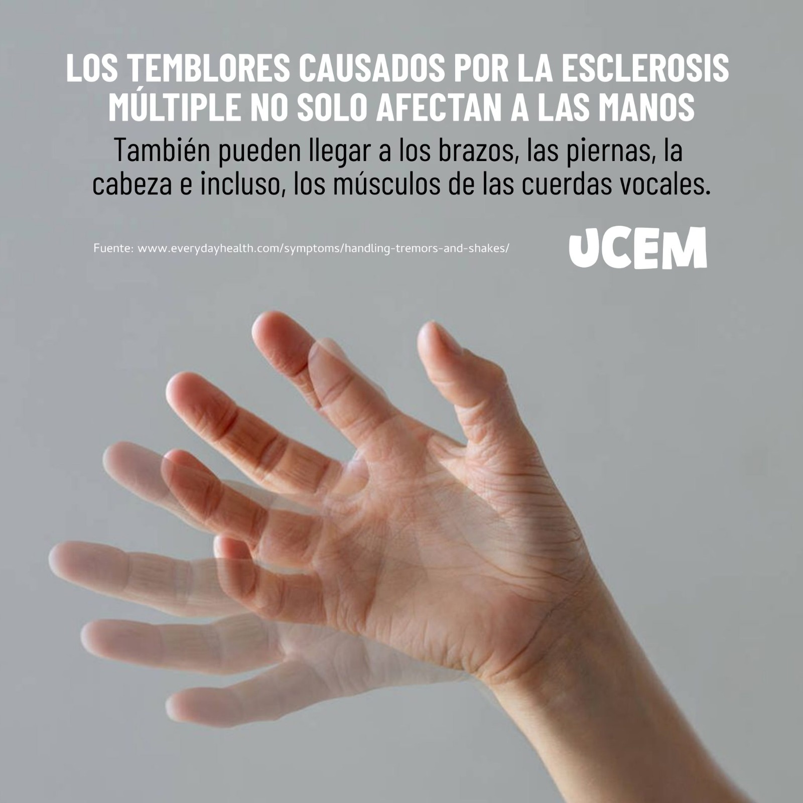 ¡Combatiendo la Esclerosis Múltiple! Una fundación a tu alcance
