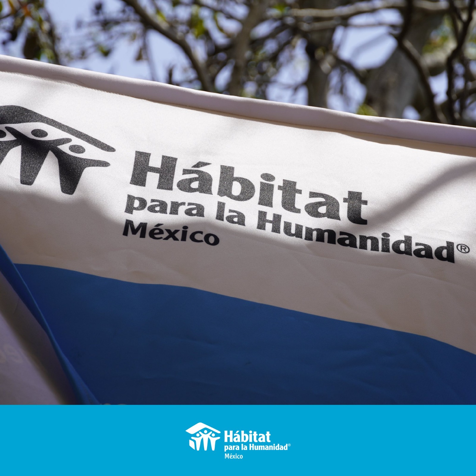 Hábitat: construyendo viviendas, cambiando vidas