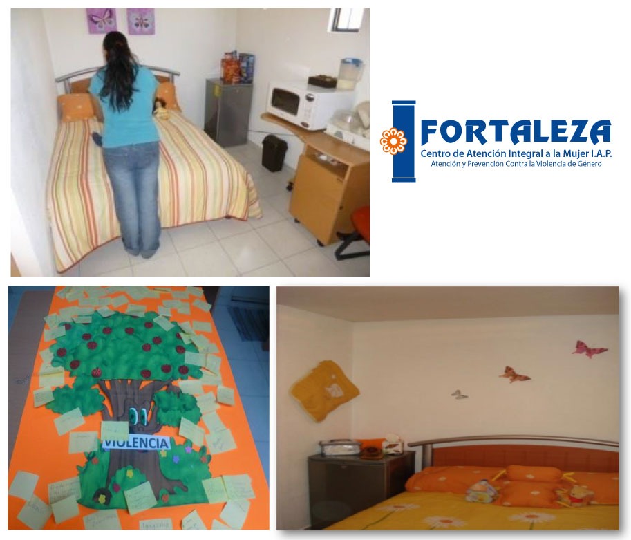 Fortaleza IAP: 30 años trabajando por más mujeres con una vida libre de violencia