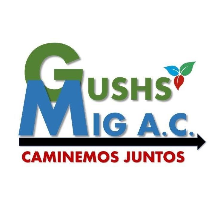 ¿Qué es? Gushs Mig y cómo ayuda a comunidades oaxaqueñas