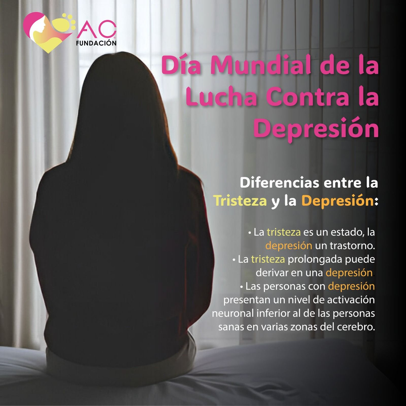 “We Rise Up” / “Nosotras nos levantamos” ¿Sabes qué es?