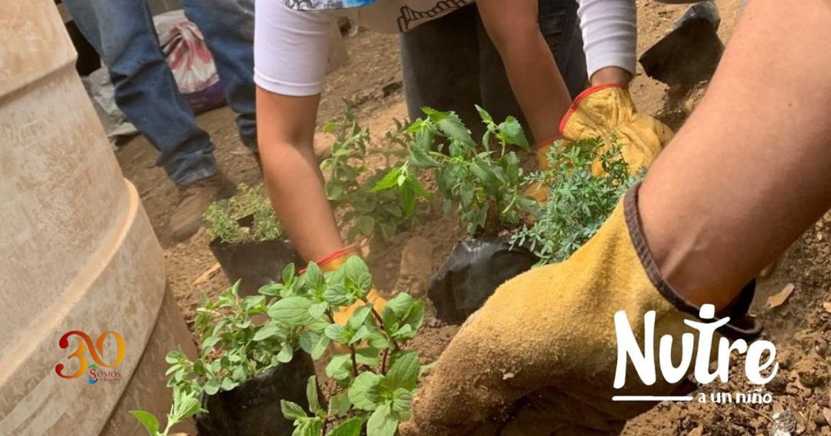 Nutre a un niño apoya a comunidades marginadas