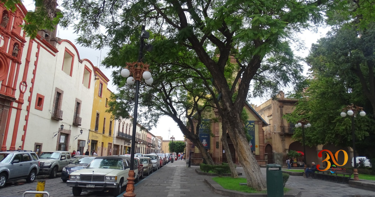 Ciudad Árbol del Mundo