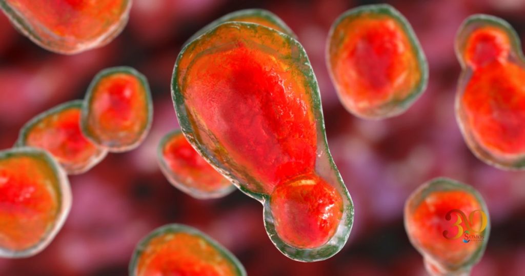 Meningitis en México