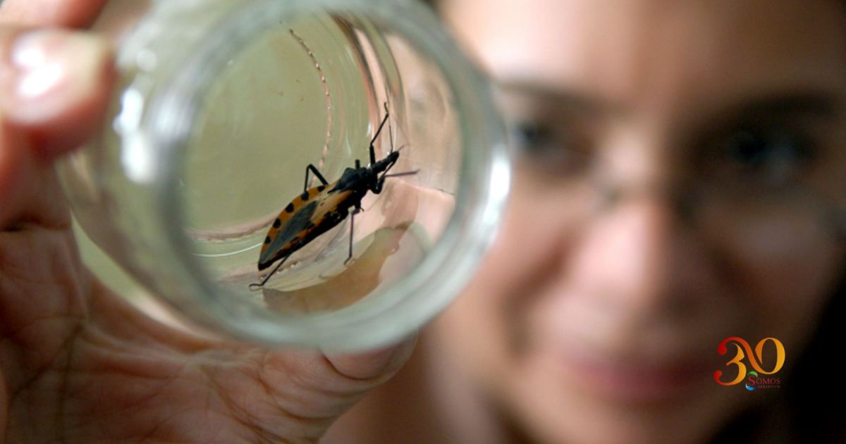 Día Mundial de la Enfermedad de Chagas, la amenaza silenciosa que persiste en América Latina