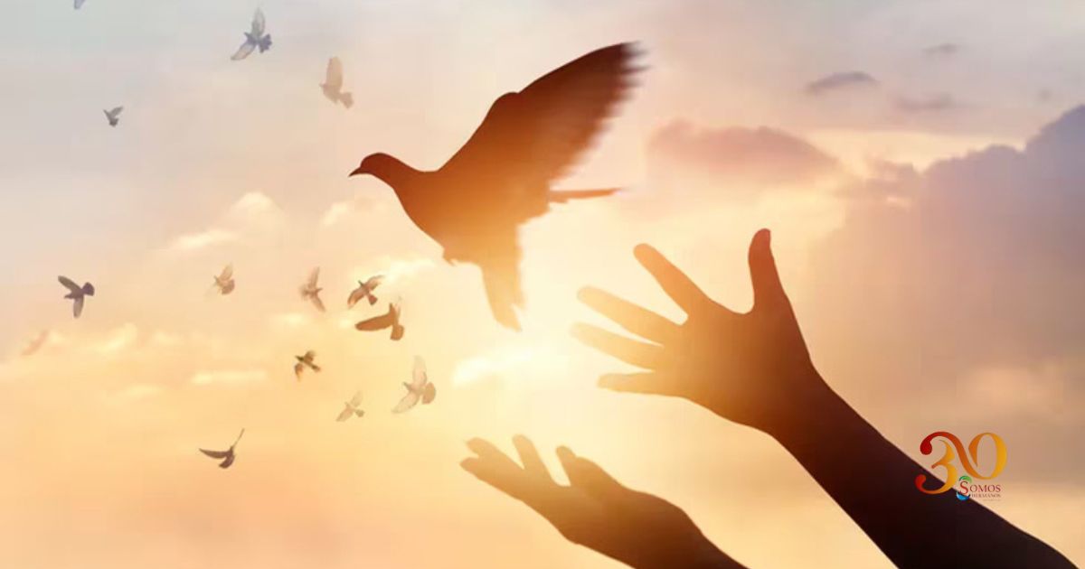 Construir una cultura de paz y de conciencia