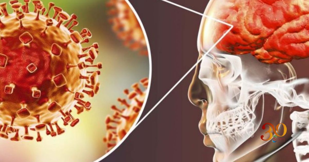 Día Mundial contra la Meningitis: informar es prevenir