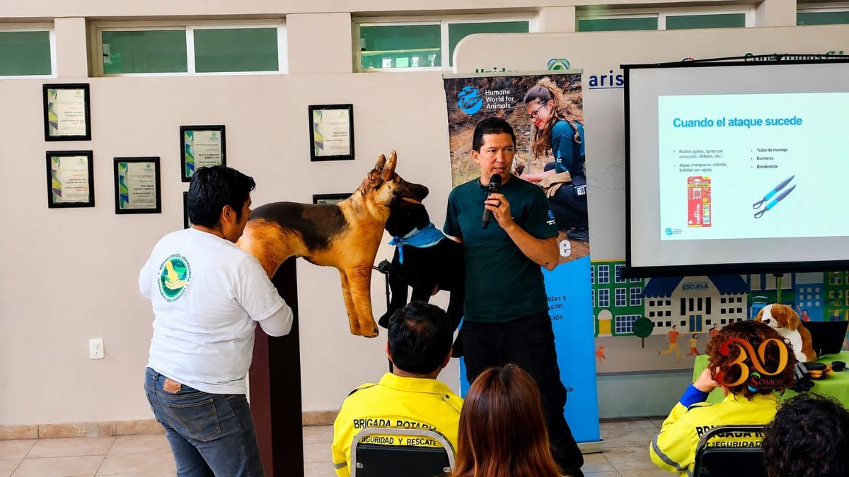 Humane World for Animals y CENACED fortalecen alianza para proteger a los animales durante emergencias