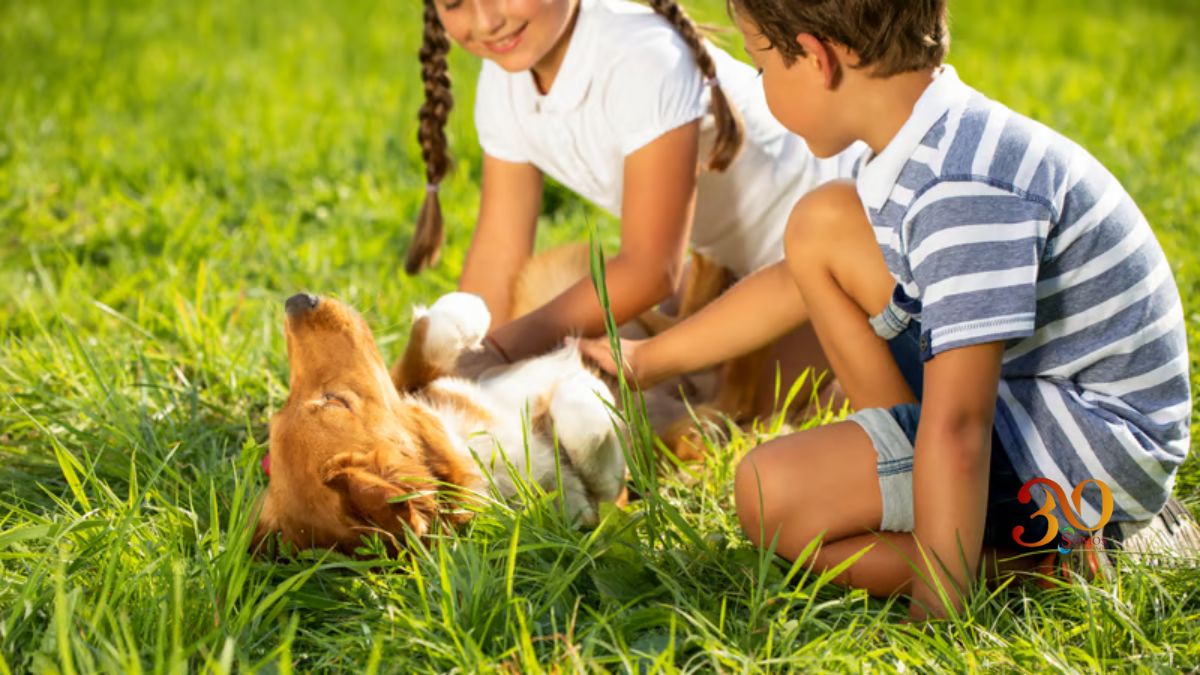 ¿Qué es la zoonosis y como se previene?  