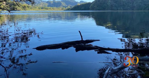 Los derechos que protegen a la naturaleza en la teoría, pero no en la práctica