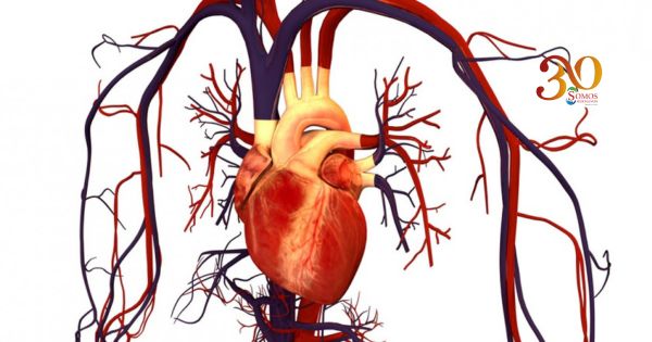 Corazón y resiliencia: cuando seguir adelante también es parte del tratamiento
